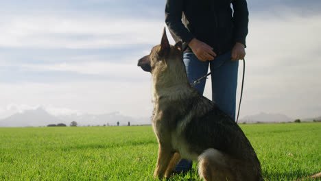 Schäferhund-Steht-Mit-Seinem-Besitzer-Auf-Dem-Bauernhof-4k