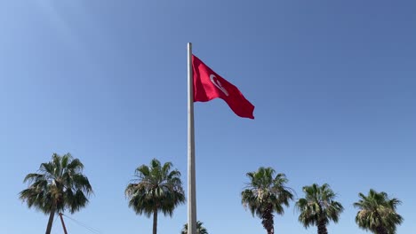 gust of winds blowing in the breeze of tunisia's national flag against the background of palm trees