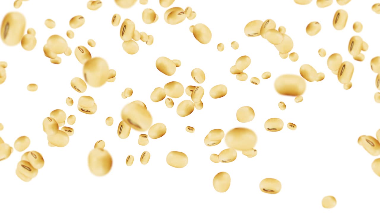 색 배경에 많은 콩을 날아. 밝은 갈색 곡물. 콩과 콩. 건강한 음식. 콩이 회전하는 3d 루프 애니메이션.