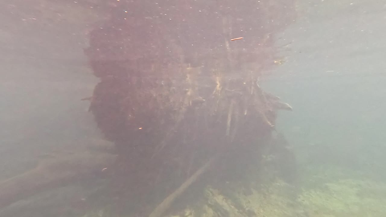 ruinas del muelle submarino