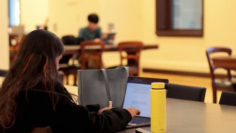 people working on laptops in library