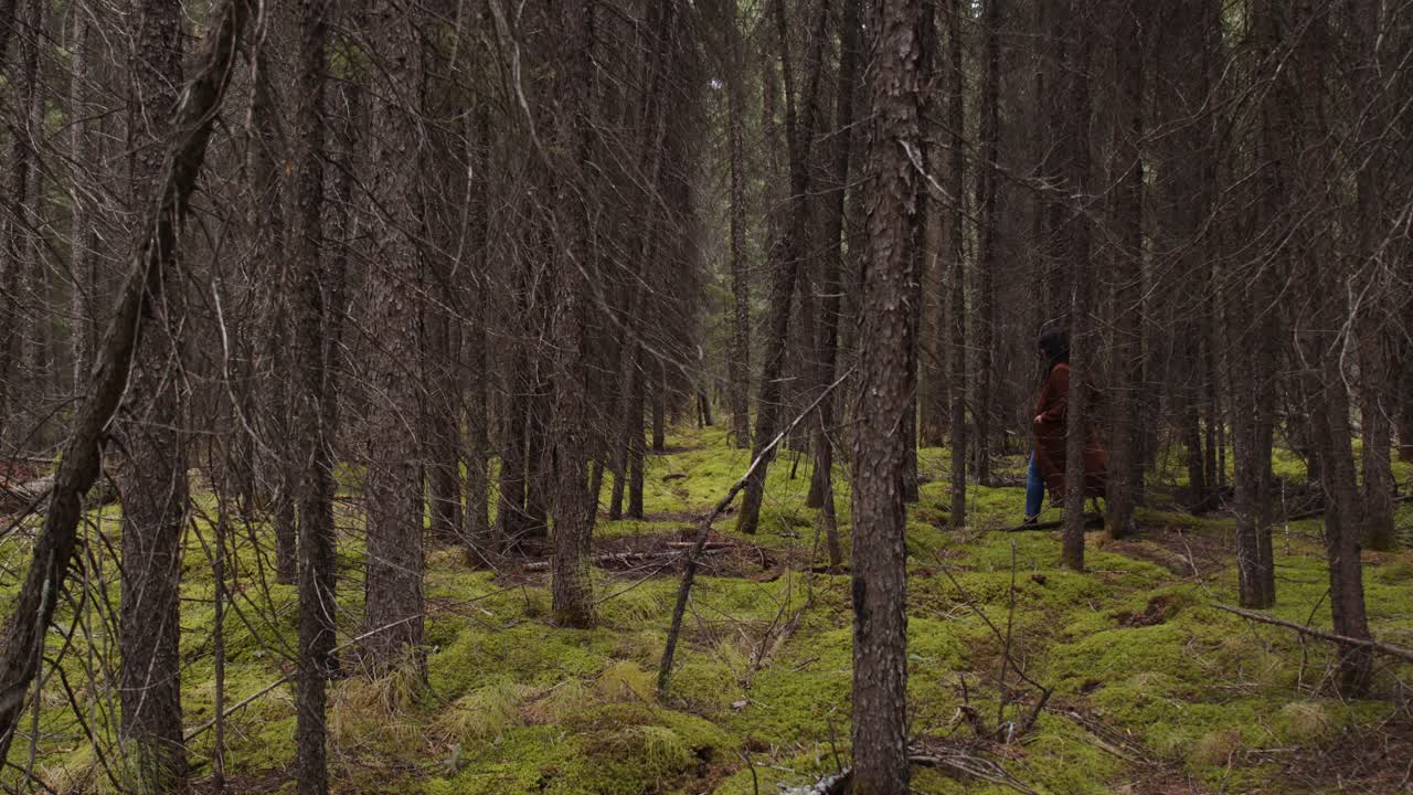 chica con una chaqueta naranja camina por un espeso bosque de pinos y alerces y musgo verde en otoño