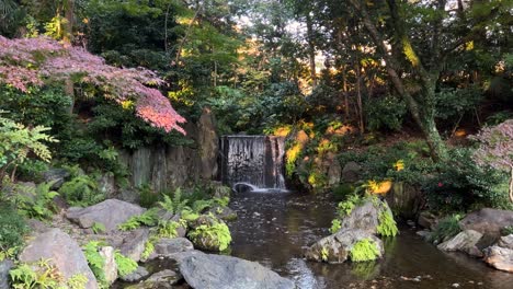slow slider over small waterfall in japanese landscape garden during fall