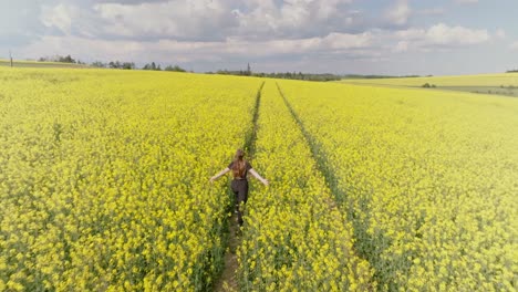 Mujer-Joven-Corriendo-Por-El-Campo-De-Follaje-Amarillo-Y-Verde,-Aéreo