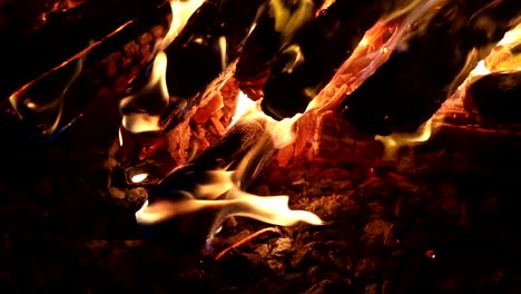 close-up of a campfire burning at night