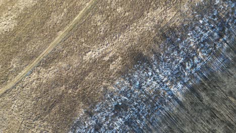 Un-Dron-De-Arriba-Hacia-Abajo-De-Un-Campo-De-Maíz-Muerto-En-El-Invierno