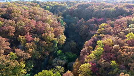 aerial fall colors in peaceful forest