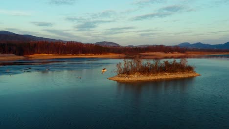 flock of birds flying over idyllic lake during sunset