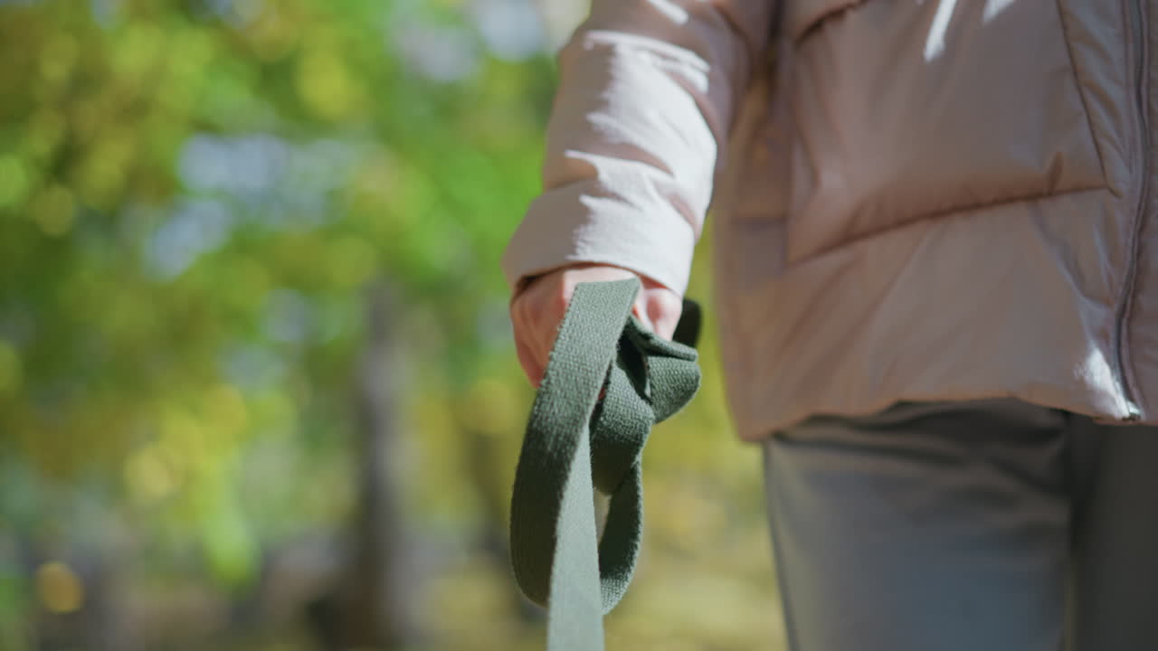 close up of person hand gripping green dog leash while walking through blurred autumn park scene with sunlight filtering through trees and scattered yellow leaves creating warm seasonal mood
