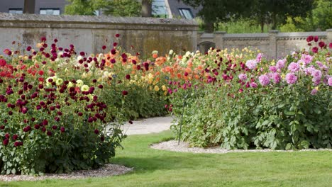 camera slowly pans across vibrant flower beds in a landscaped amsterdam garden, daylight, wide shot