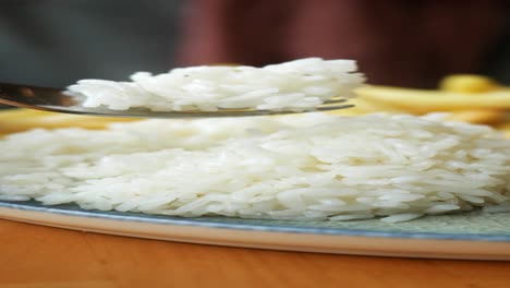 close-up of a plate of white rice with french fries