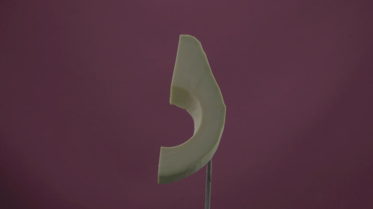 aguacate girando con bucle en la pantalla de fucsia para la llave de croma