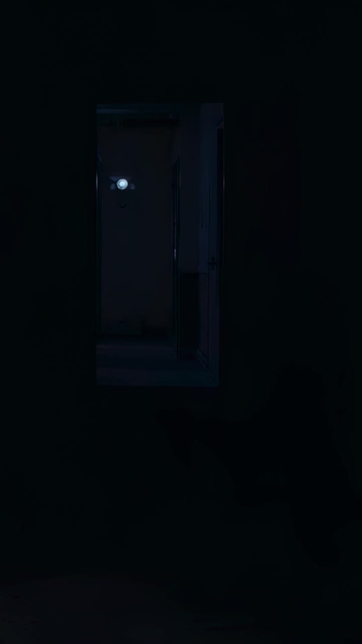 Mostra una porta chiusa con spioncino illuminato che inquadra una stretta vista del corridoio, con una tonalità blu fredda.
