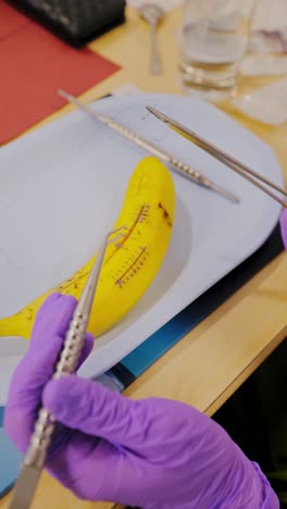 close-up of gloved hands stitching banana as student learns surgical skills