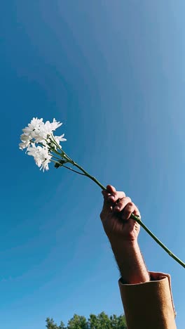 hand holding flowers against a blue sky