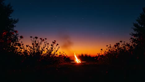 a captivating evening campfire against a vivid sunset sky, surrounded by blossoming flowers and twinkling stars creating a serene outdoor atmosphere