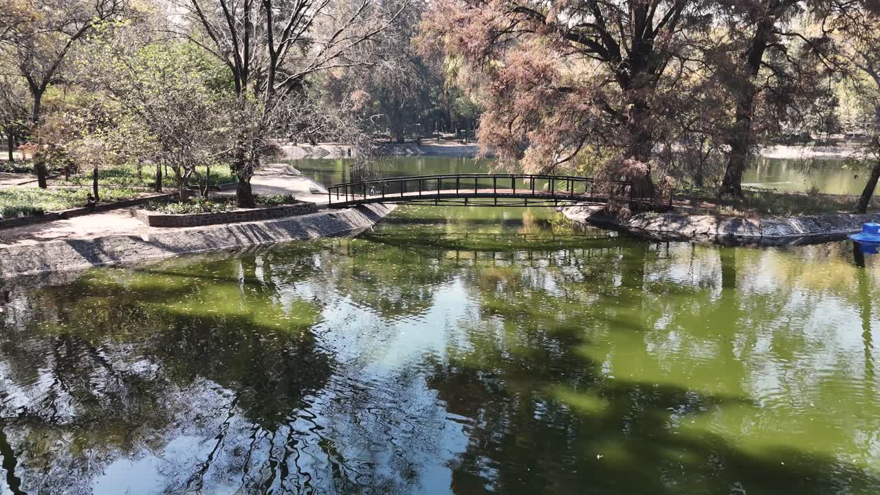 가을 시즌 에 호수 를 가로지르는 다리 의 정지 된 이미지