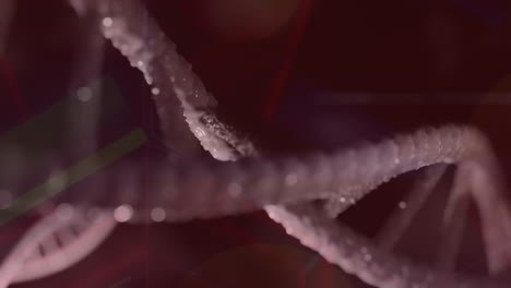 animación de una cadena de adn giratoria sobre un fondo oscuro