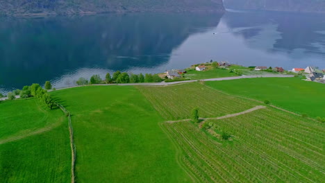 Luftdrohne,-Die-Sich-Vorwärts-Bewegt,-Schoss-über-Dorfhäuser-Auf-üppiger-Grüner-Vegetation,-Umgeben-Von-Einer-Bergigen-Landschaft,-Durch-Die-Tagsüber-Ein-Fluss-In-Norwegen-Fließt