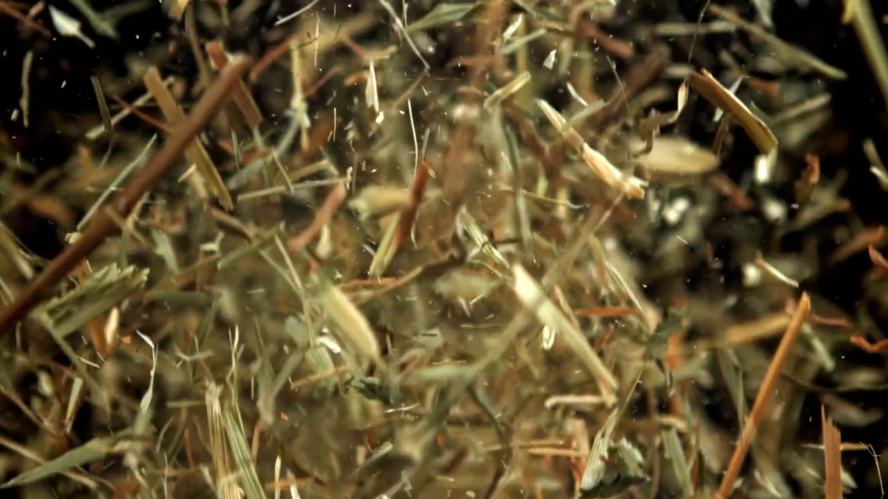 Dry Hay and Chaff Exploding and Flying Upwards in Slow Motion