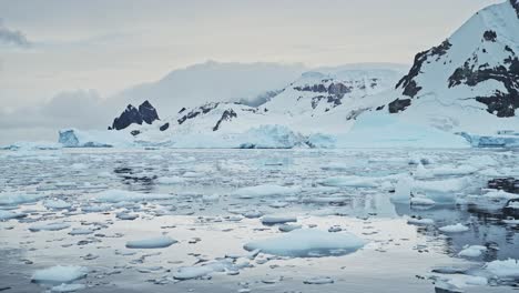 aerial drone shot of antarctica scenery at sunset, global warming visible with melting snow, climate change with ice melted from the mountains, antarctic peninsula landscape in southern ocean