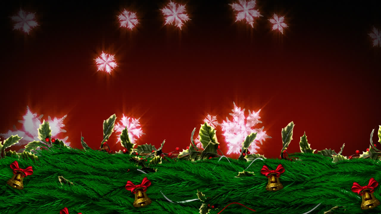 눈알이 떨어지는 크리스마스 홀리 꽃받침