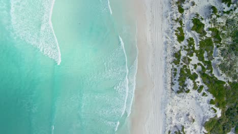aerial view over transparent sea water, waves - lucky bay, australia - birds eye, drone shot