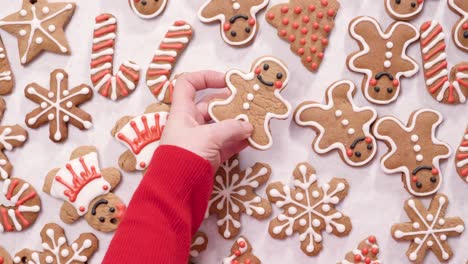 decorating gingerbread cookies with royal icing for christmas.