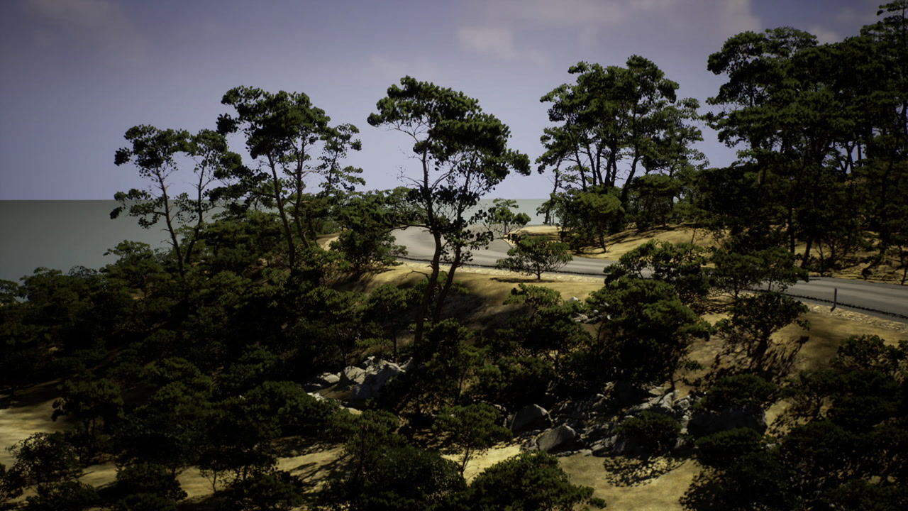 Evening shadows cast by trees on sandy terrain with purple sky
