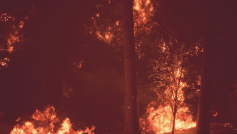 incendio forestal por la noche