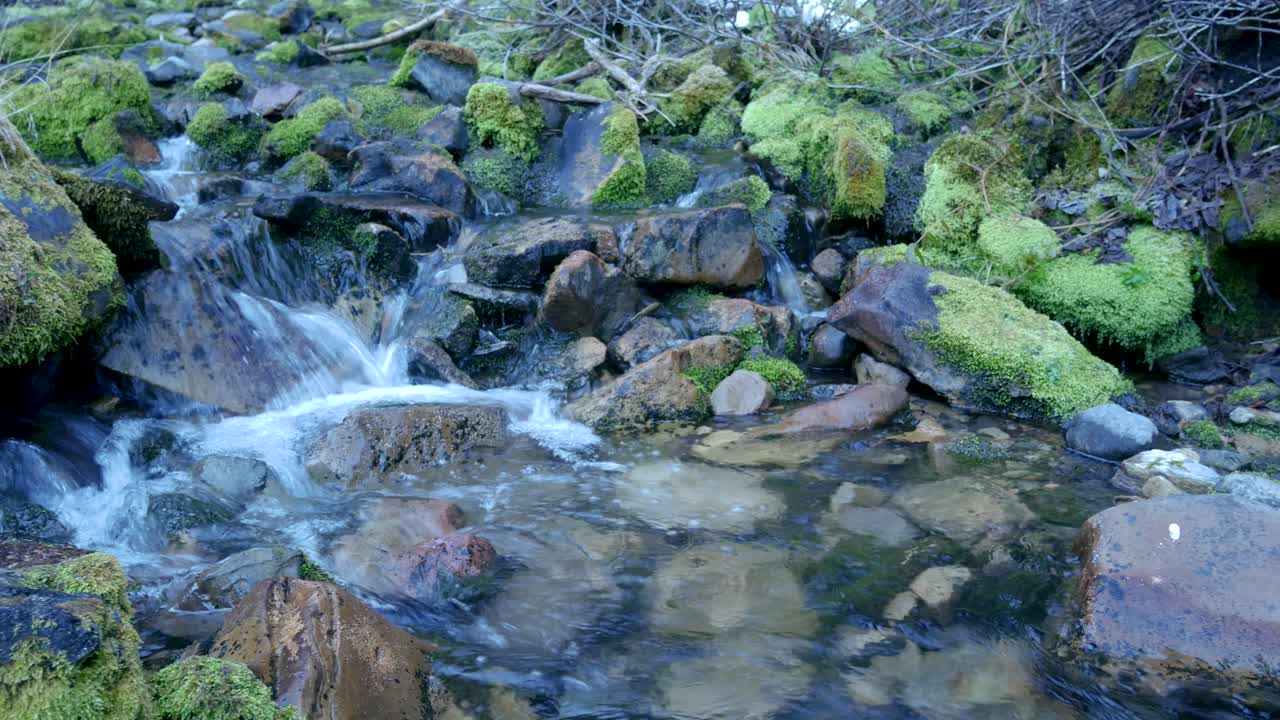 tranquilo arroyo de montaña que fluye sobre rocas cubiertas de musgo en una mañana fría