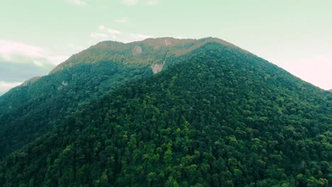 mountainous forest landscape