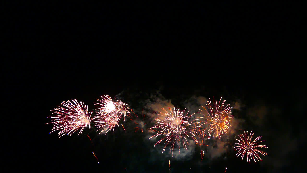 hermosa celebración abstracto colorido espectáculo de fuegos artificiales en el fondo de la noche