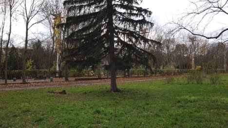 cámara de mano en un parque en berlín alemania naturaleza hojas muertas árboles colores del otoño hd 30 fps 7 segundos