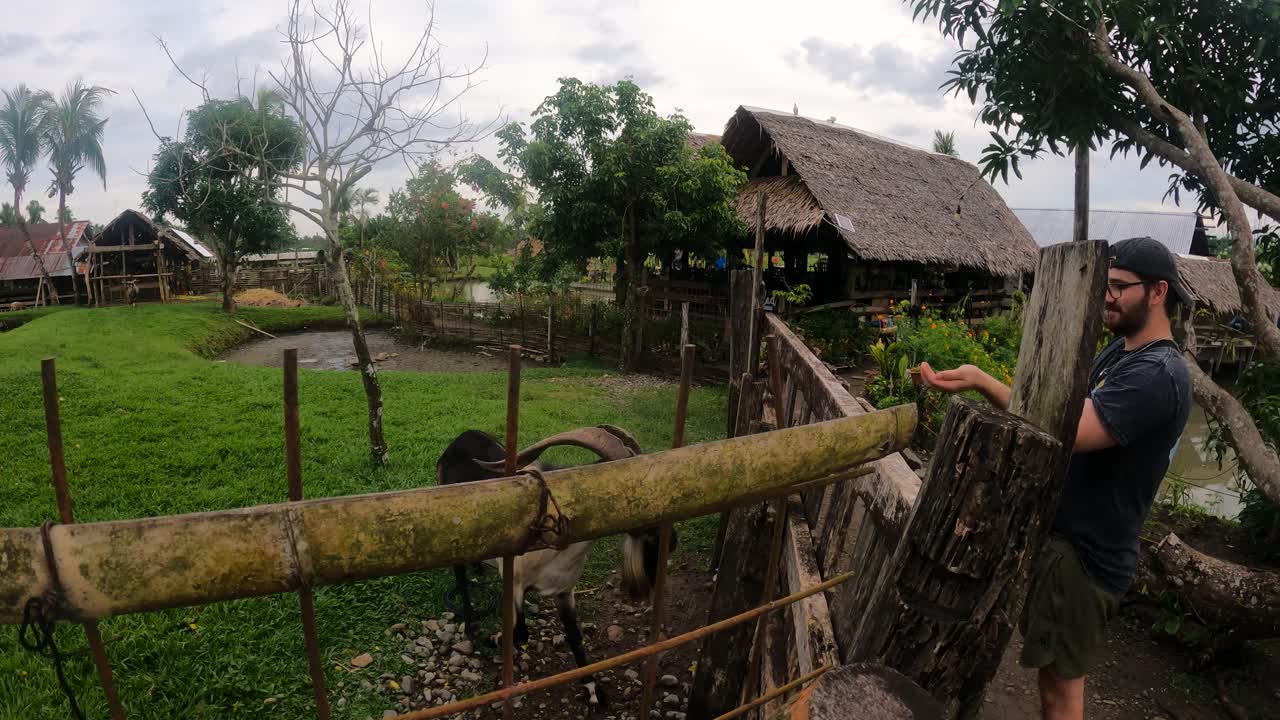turista con teléfono inteligente alimentando a mano cabra en la granja la caridad en sogod, sur de leyte, filipinas