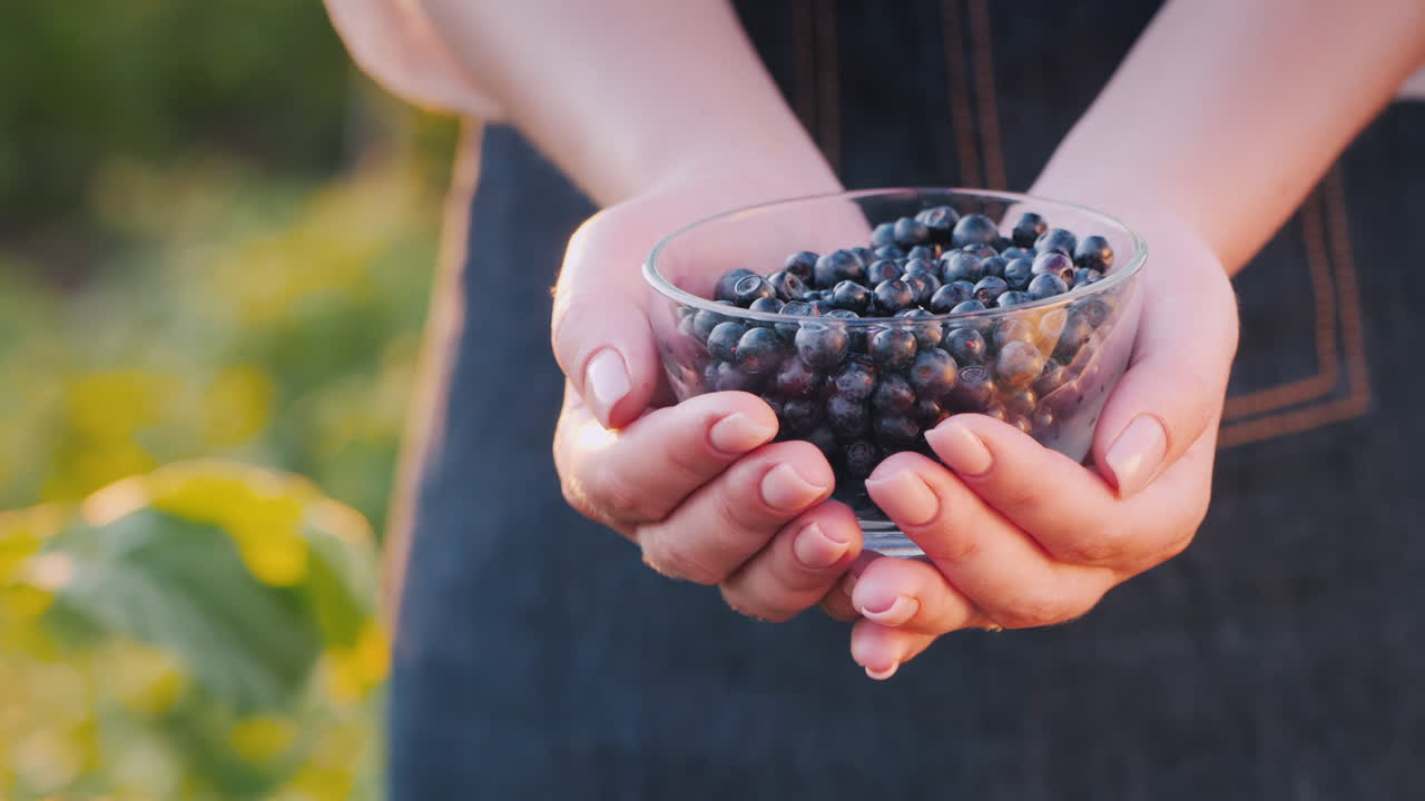 granjero sostiene un tazón de arándanos 1