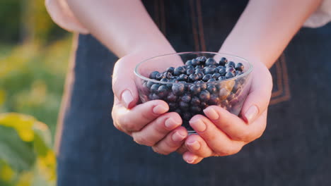 farmer holds a bowl of blueberries 1