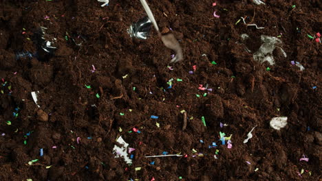 land pollution with plastic and other debris