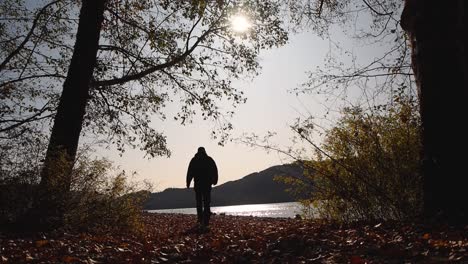 Silhouette-Eines-Mannes,-Der-Durch-Bäume-Mit-Sonne-Und-Bergen-Im-Hintergrund-Zum-Ufer-Des-Sees-Geht