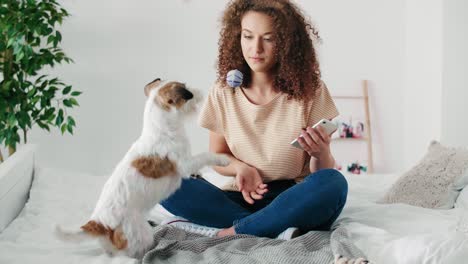 cheerful girl having fun with her dog in bed