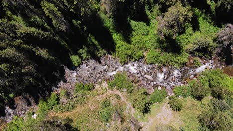aerial overhead shot of a small river in the miiddle of the grand teton national park in wyoming