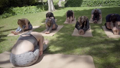 Menschen-Dehnen-Sich-Auf-Yogamatten-Im-Park
