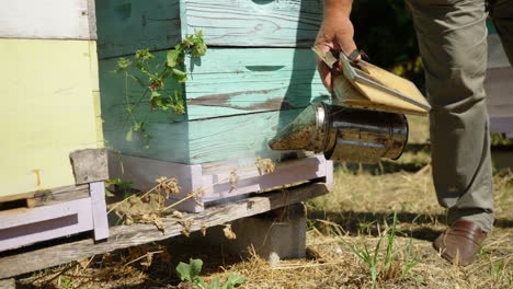 beekeper blowing smoke on bees