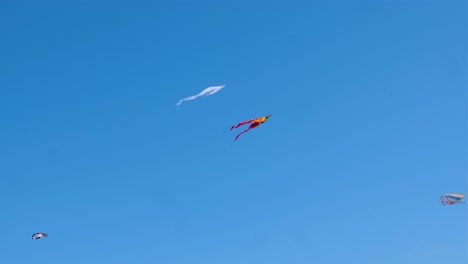 Children-flying-kites-in-wind-and-fluttering-in-the-breeze-against-blue-sky-on-summers-day