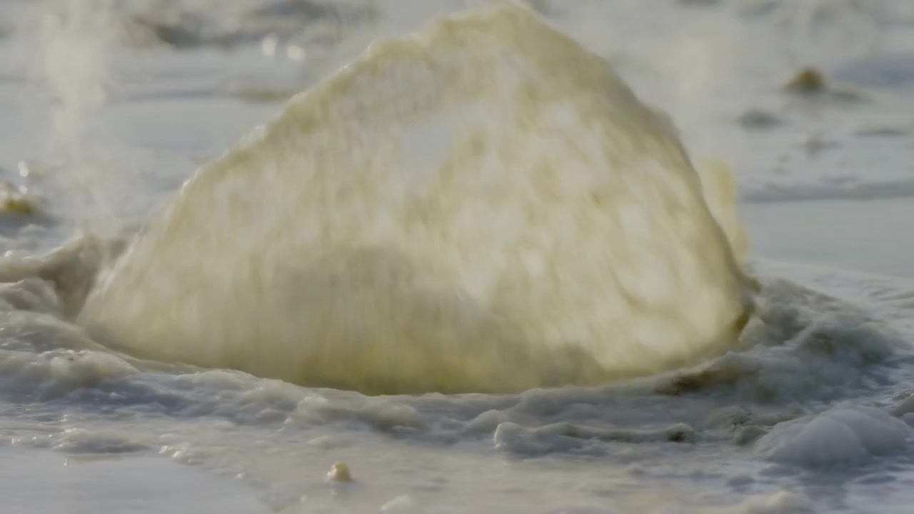Thick sea foam gathers in shallow coastal water, then breaks into bubbling plumes and scattered spray beside shoreline, creating reflective wet patches, soft ripples, and pale marine texture