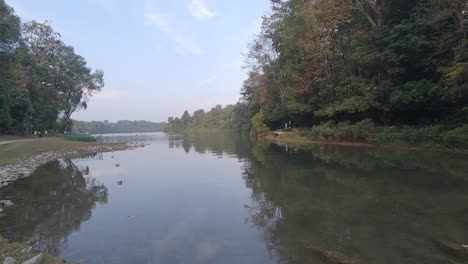 Lago-De-La-Selva-Con-Reflejo-De-Los-árboles-En-La-Madrugada