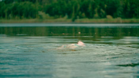 Niño-Alegre-Nadando-Con-Estilo-De-Espalda-En-El-Lago-De-Agua-Dulce-Con-Vista-Al-Bosque-En-El-Fondo