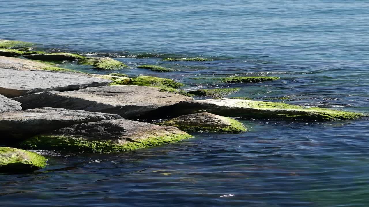 Rocce sulla riva dell'oceano