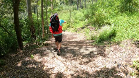 persona caminando sola por un sendero del bosque