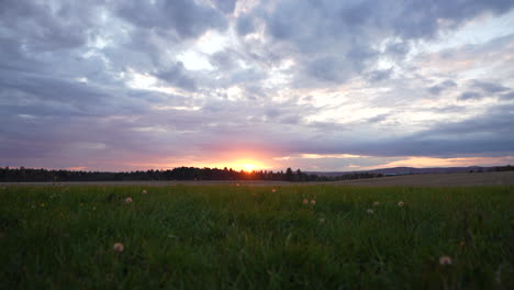 left to right pan in a field at sunset